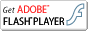 Descargar Flash Player