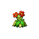 Bellossom